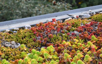 the cost of Hickling Heath green roof installation