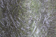 Hickling Heath fibreglass roof work