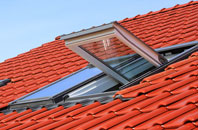Hickling Heath roof window